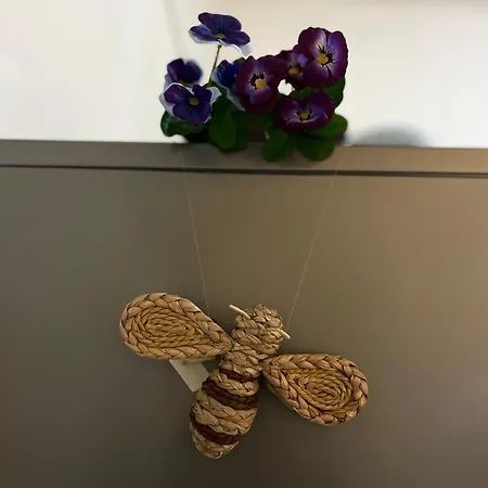 Appartamento Golden Shell *